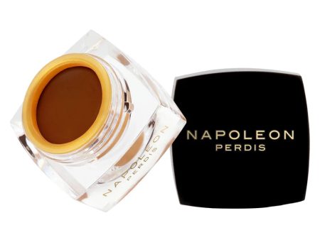 Napoleon Perdis The One Concealer 3.5ml - Cocoa For Cheap