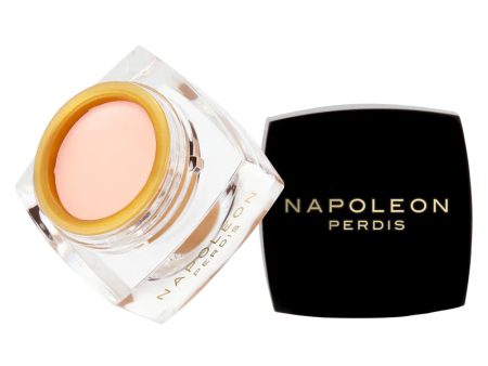 Napoleon Perdis The One Concealer 3.5ml - Porcelain Online Sale