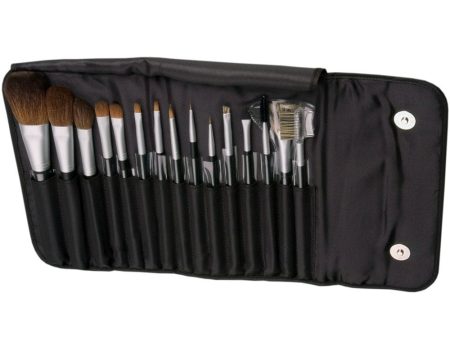 BeautyPRO Cosmetic Brush Set - 15 Pc Sale